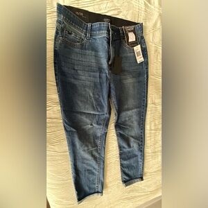 Curve Appeal Women's Skinny Jeans - Blue